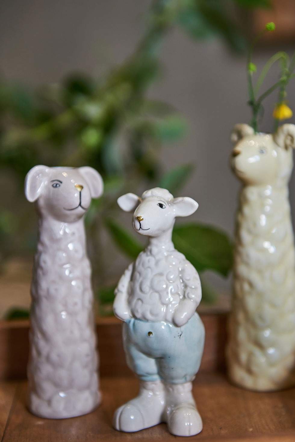 SP lamb í klaðum ass 11 cm