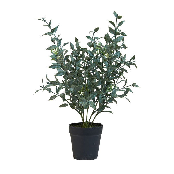 SP planta í potti 40 cm