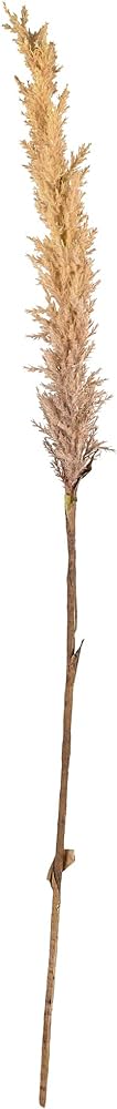 VC decor kvist 100cm