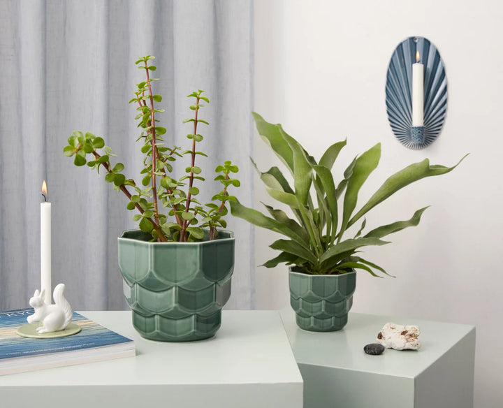 Dottir Samsurum skjulari small spruce