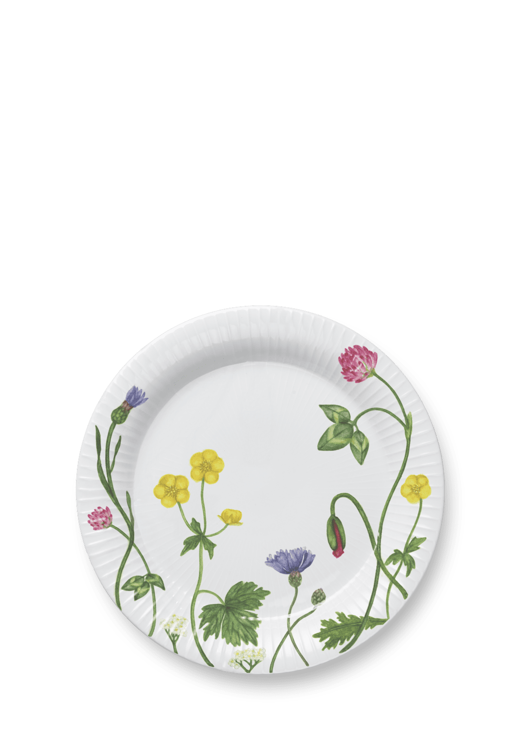 Kahler summartall. 2025 22cm wild flower