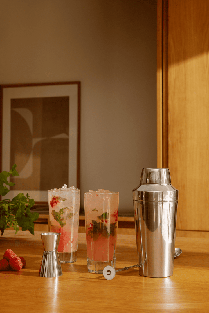 Rosendahl grand cru barware shaker