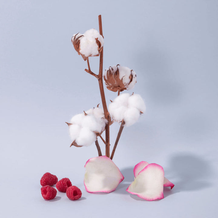 Compagnie hond- og kropskrem cotton