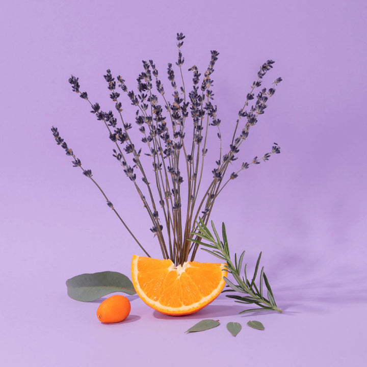 Compagnie hondsápa lavendel 495ml