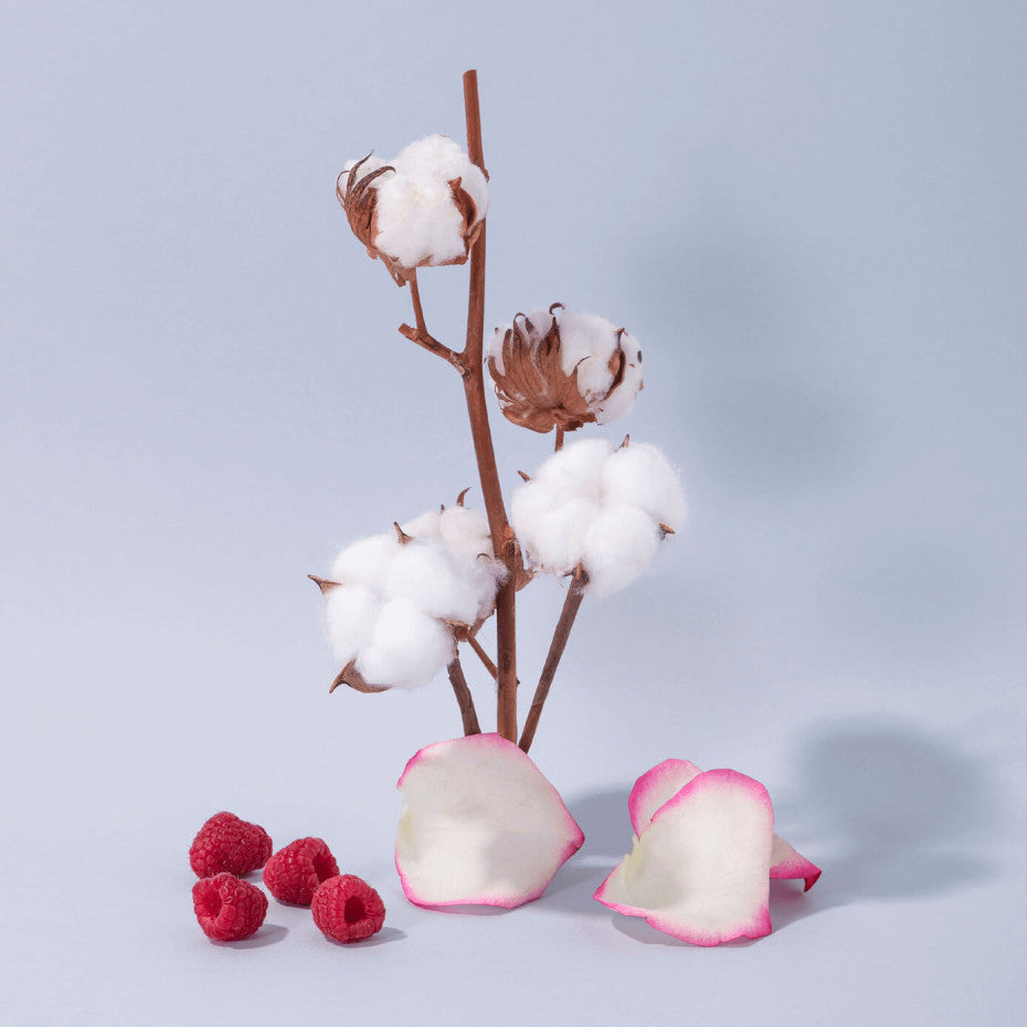 Compagnie hondsápa cotton 495ml