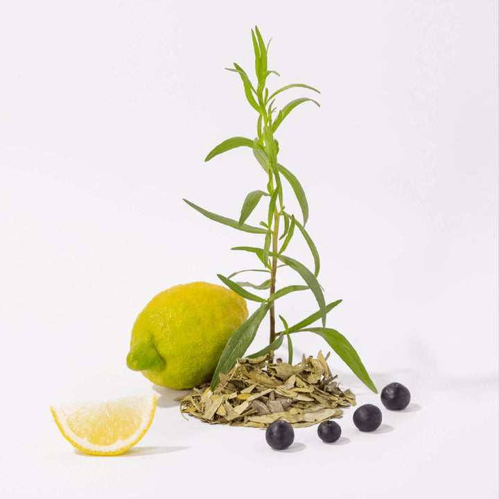 Compagnie hondsápa white tea 300ml