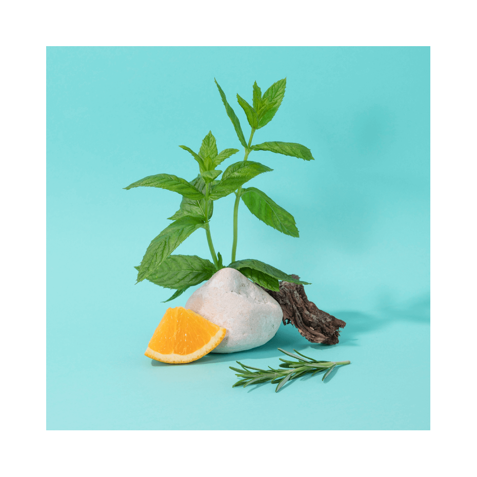 Compagnie hondsápa mint basil 300ml