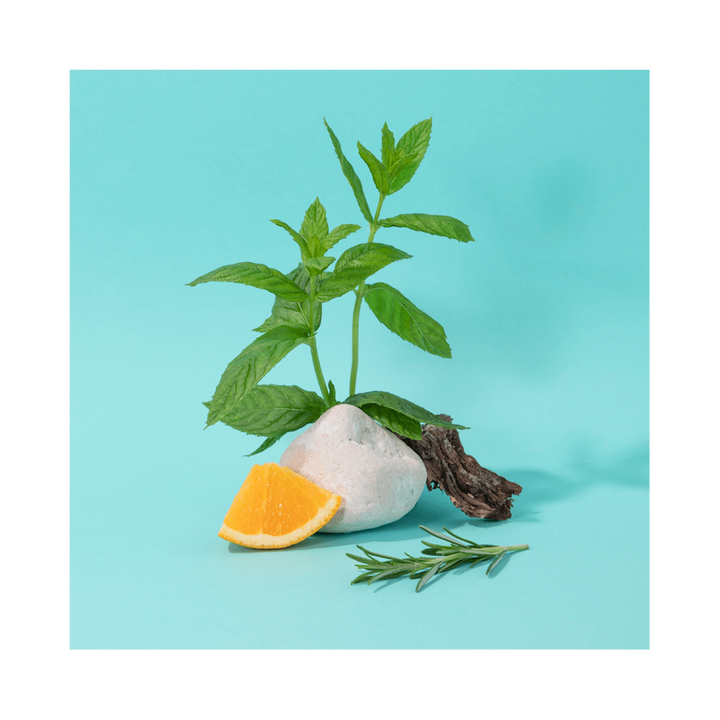 Compagnie hondsápa mint basil 300ml