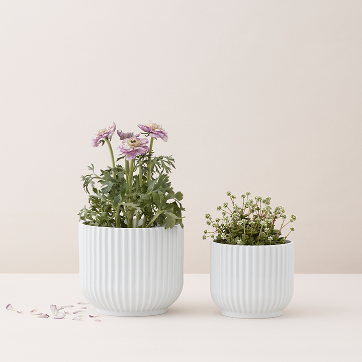 Lyngby urtapottur 10,5 cm