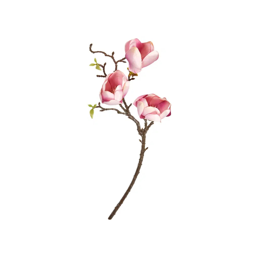 SP Magnolia stilk reytt 85cm