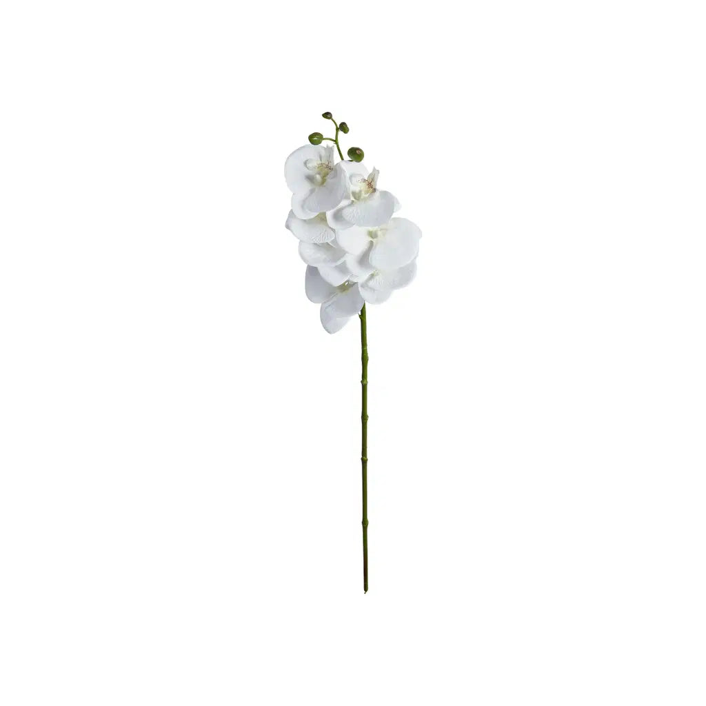 SP Orkide stilk hvítt 79cm