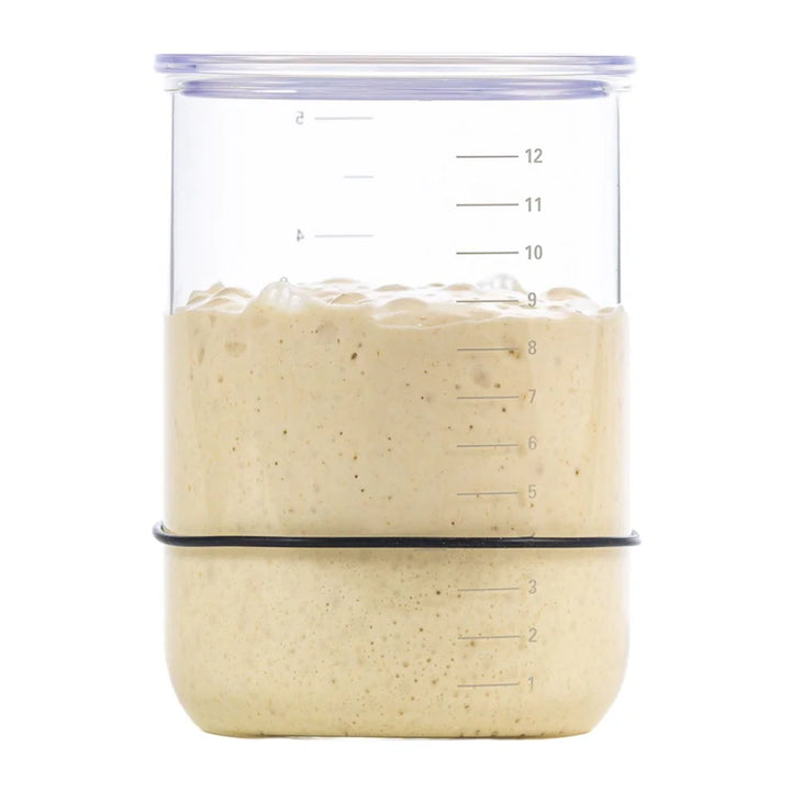Witt Brød og Taylor súrdeigg starter jar