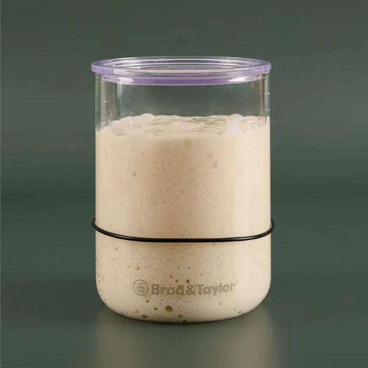 Witt Brød og Taylor súrdeigg starter jar