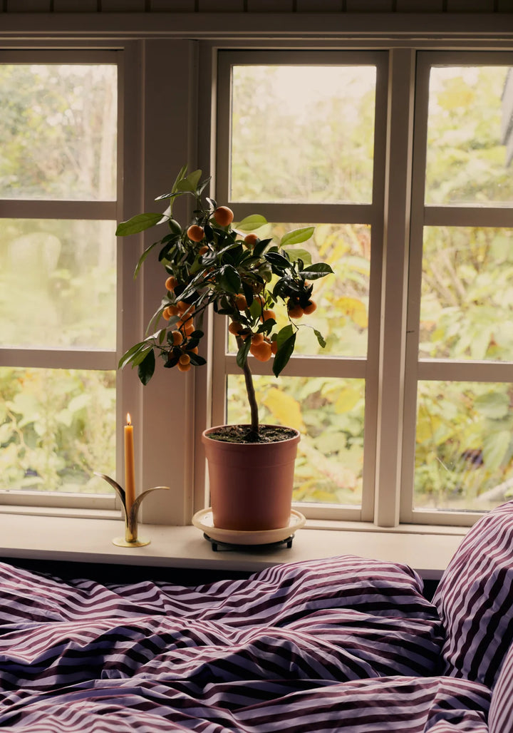 Bongusta seingjarsett wine and lavender blue 140x220vm
