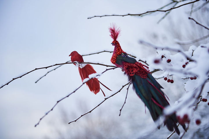 Sp reyður fuglur við glimmur v/klips