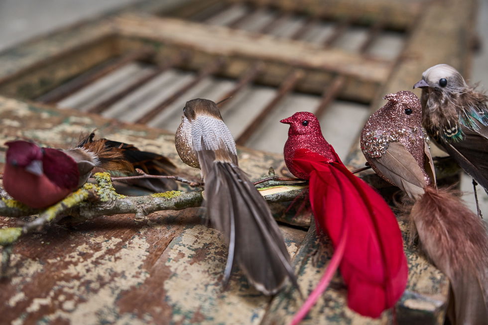 Sp reyður fuglur við glimmur v/klips