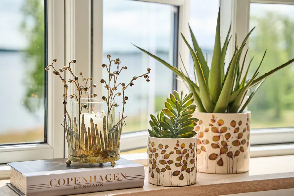 Sp Sukkulent í pot 20cm