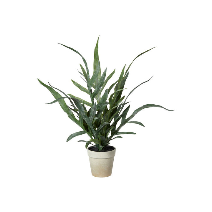 Sp beregne í pot 46 cm