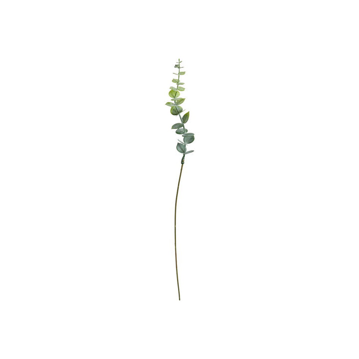 SP Eukalyptus stilk 46cm