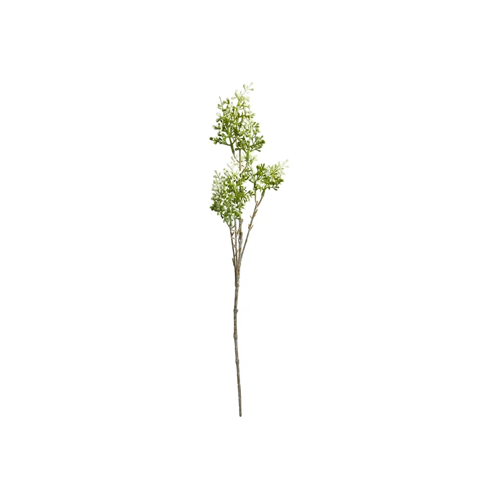 sp Hyacint Stilk 68cm