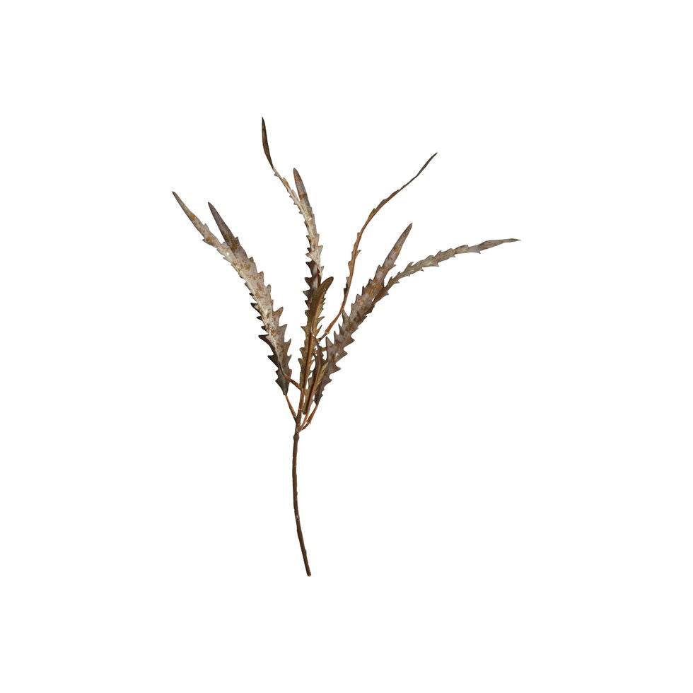 Sp bregne stilk 47cm