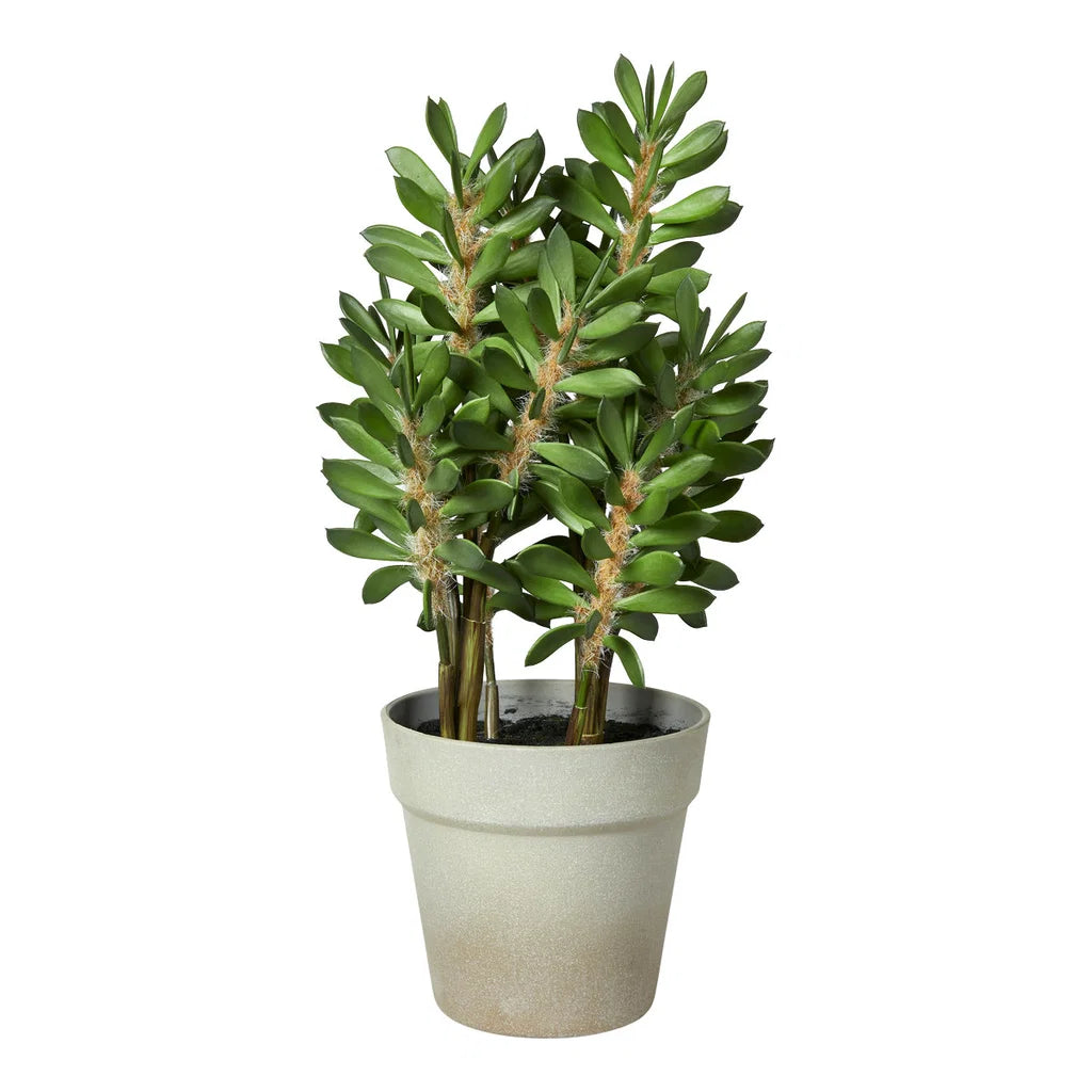 sp grøn planta v/ vasa