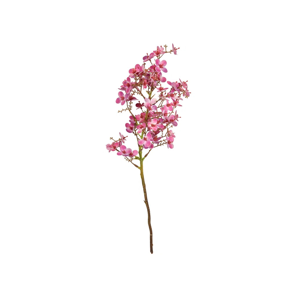 Sp mini orkide rosa