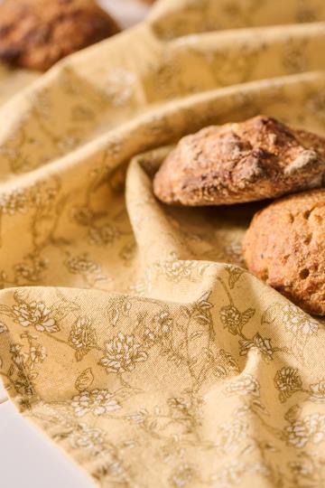 Ib viskustykki fiskar