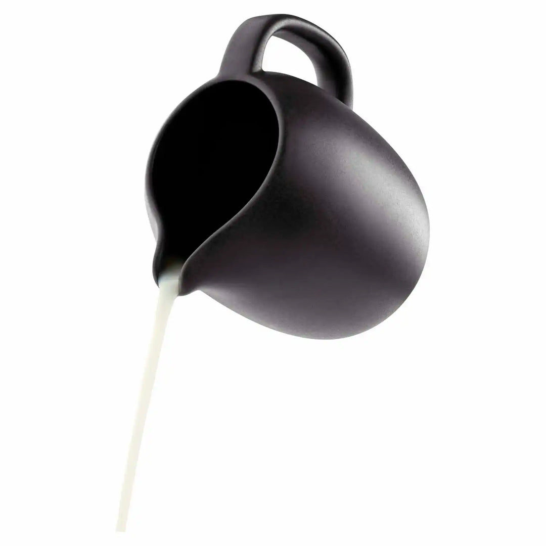 Eva Nordic kanna 0,5L sv