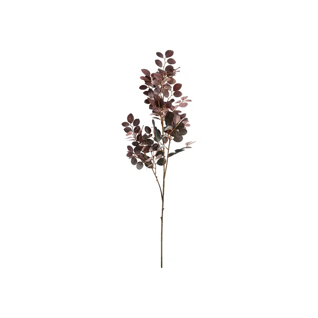 SP Red loropetalum reytt 96cm