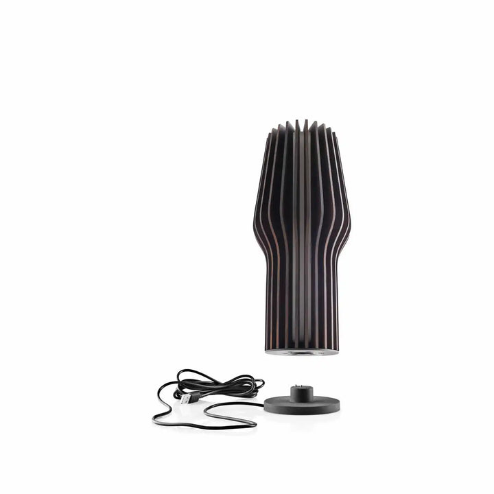 Eva Solo LED lampa v/ladara roykt eik