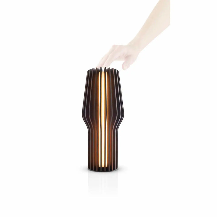 Eva Solo LED lampa v/ladara roykt eik