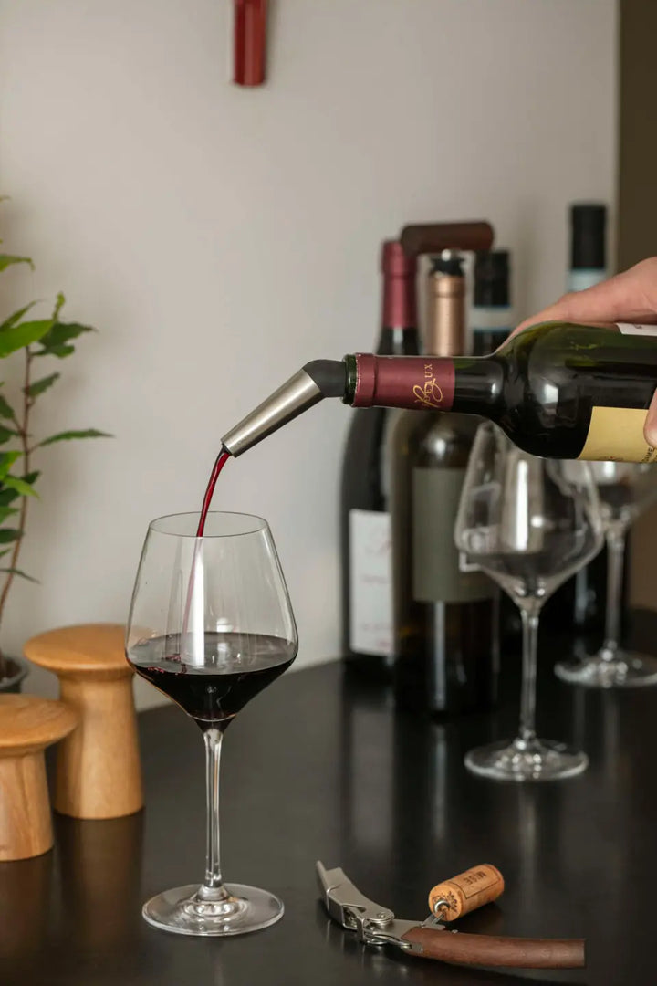 Eva Solo vín decanter