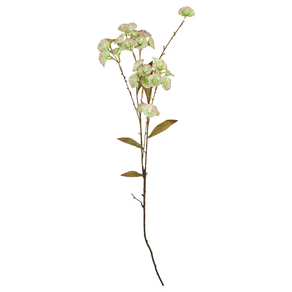 SP Scambiosa stilk grønt lilla 118cm