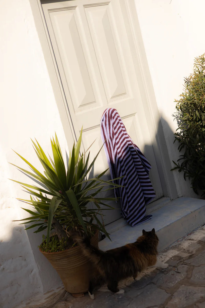Bongusta lappi wine lavender blue