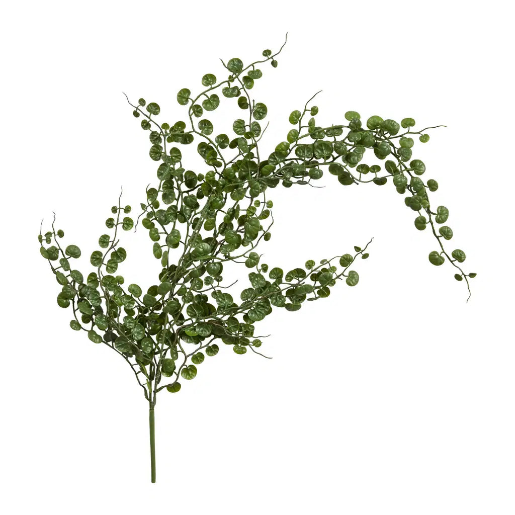 SP Hengji sukkulent stilk 81cm