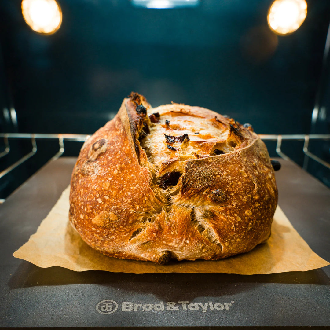 Witt Brød & Taylor Bakistál