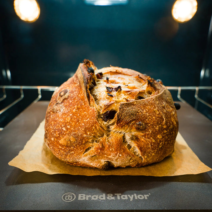 Witt Brød & Taylor Bakistál