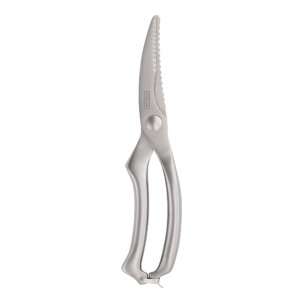 Stellar høsnasaksur